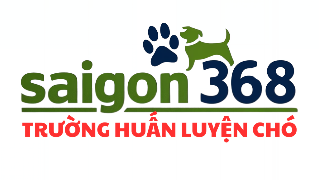 Mẫu giao diện website Trung tâm Tiếng Anh